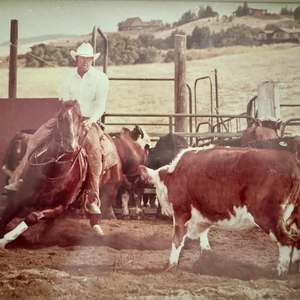 Meet your Posher, Wayne